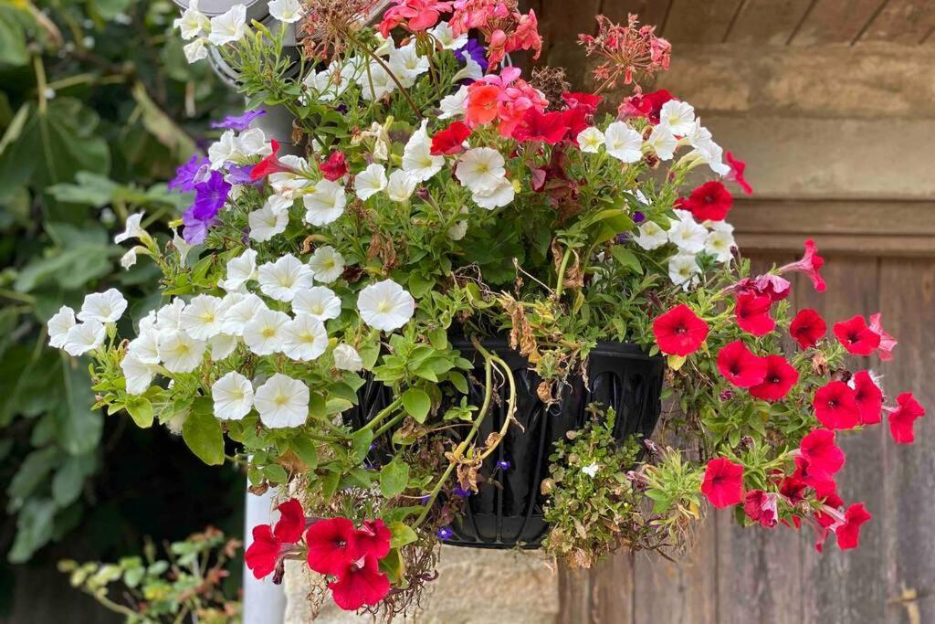 Apartament The Old Manor Coach House Cirencester Zewnętrze zdjęcie